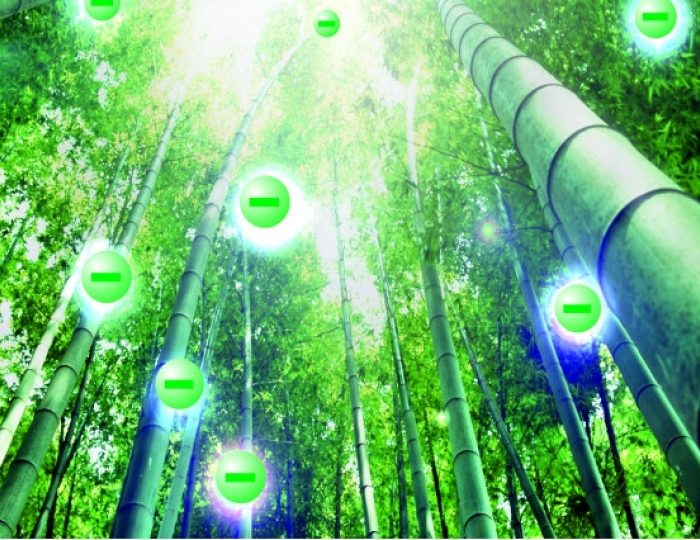 Аэроионотерапия - Оздоровительные услуги - Курорт-отель «Демерджи»